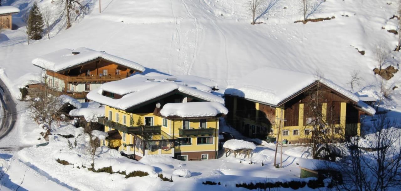 Schattaugut Eben Im Pongau Exterior photo